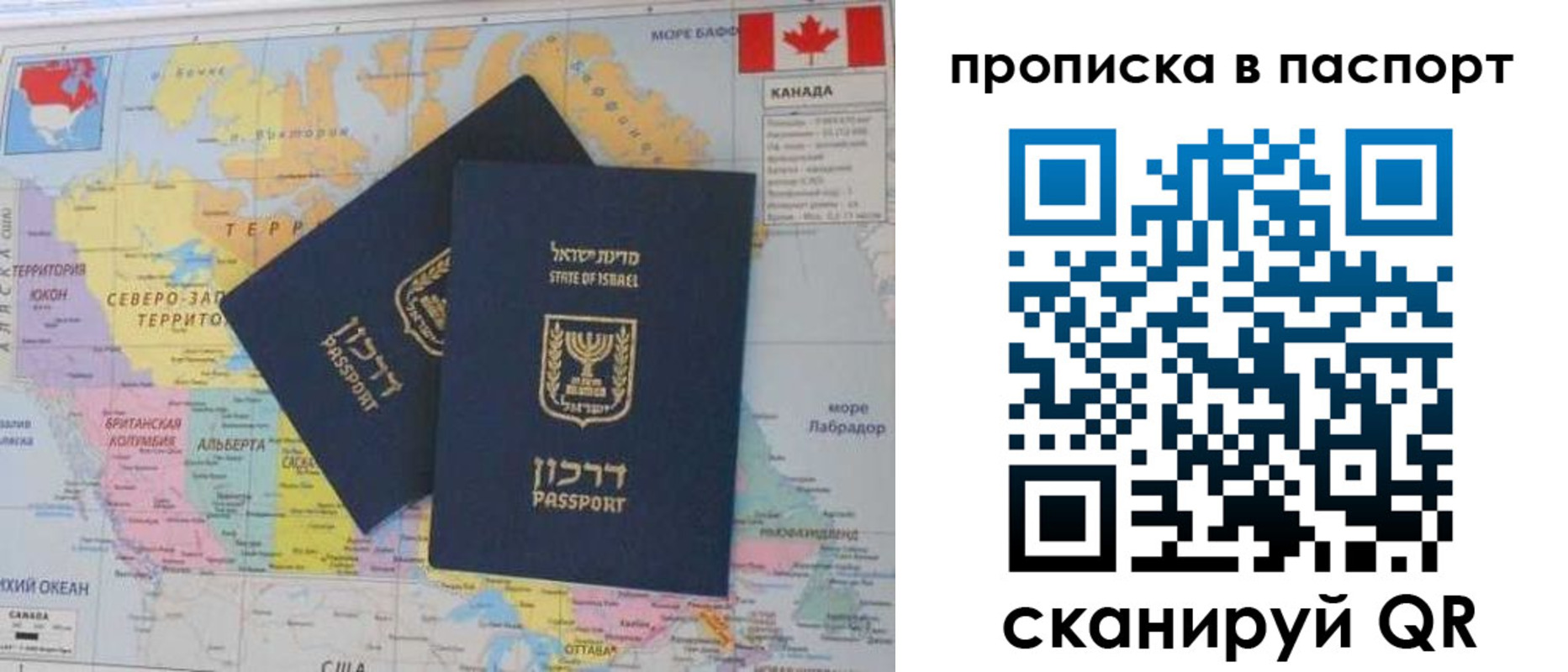 временная регистрация для школы в Тосно